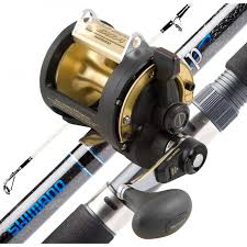 Gold and black baitcaster with a grey handle in front of a black, blue, and white fishing rod